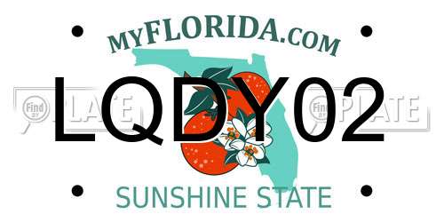 LQDY02 Florida License Plate