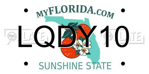 LQDY10 Florida License Plate