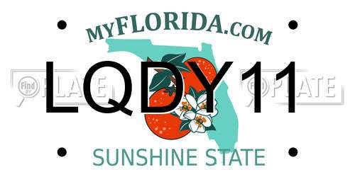 LQDY11 Florida License Plate