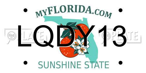LQDY13 Florida License Plate