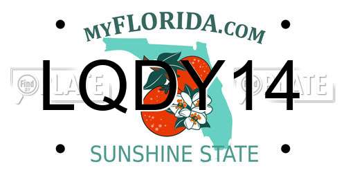 LQDY14 Florida License Plate