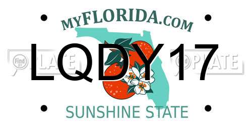 LQDY17 Florida License Plate
