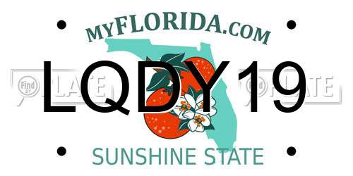 LQDY19 Florida License Plate