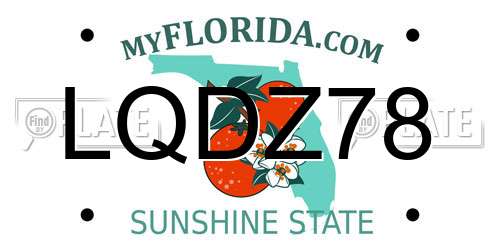 LQDZ78 Florida License Plate