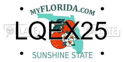 LQEX25 Florida License Plate