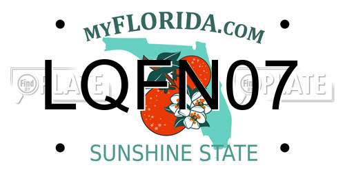 LQFN07 Florida License Plate