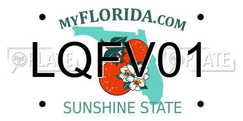 LQFV01 Florida License Plate