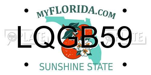 LQGB59 Florida License Plate