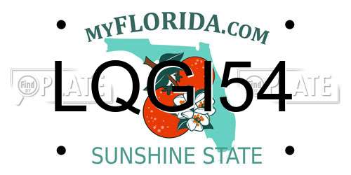 LQGI54 Florida License Plate