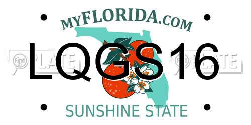 LQGS16 Florida License Plate