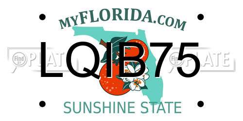 LQIB75 Florida License Plate