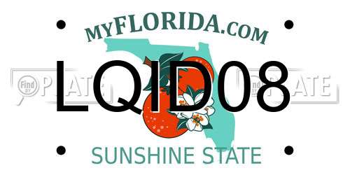 LQID08 Florida License Plate