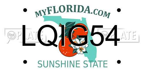 LQIG54 Florida License Plate