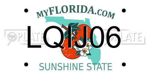 LQIJ06 Florida License Plate