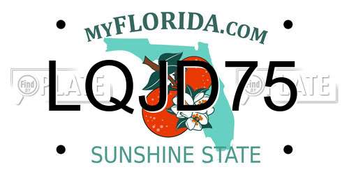 LQJD75 Florida License Plate