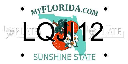 LQJI12 Florida License Plate