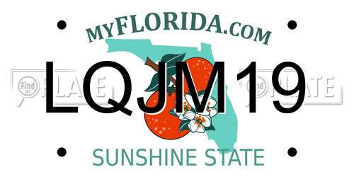 LQJM19 Florida License Plate
