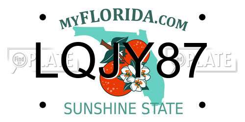 LQJY87 Florida License Plate