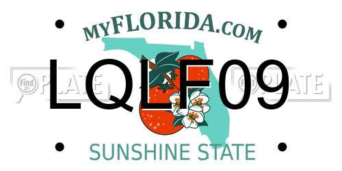 LQLF09 Florida License Plate