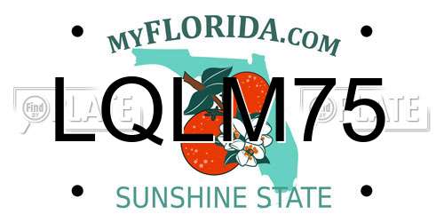 LQLM75 Florida License Plate