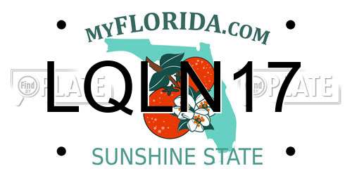 LQLN17 Florida License Plate