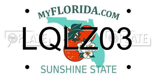 LQLZ03 Florida License Plate