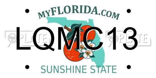 LQMC13 Florida License Plate