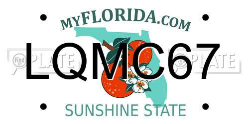 LQMC67 Florida License Plate