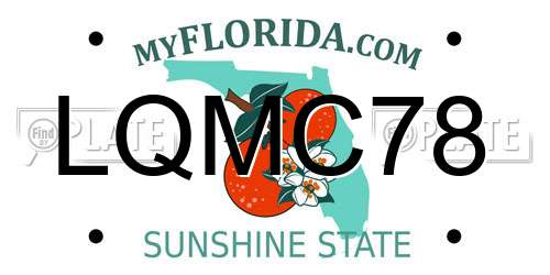 LQMC78 Florida License Plate