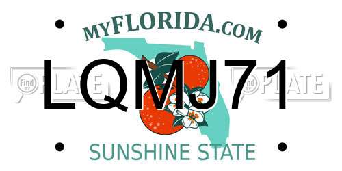 LQMJ71 Florida License Plate