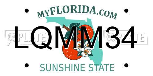 LQMM34 Florida License Plate