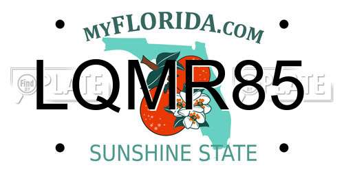 LQMR85 Florida License Plate