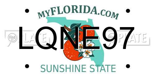 LQNE97 Florida License Plate