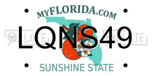 LQNS49 Florida License Plate