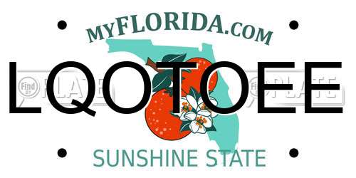 LQOTOEE Florida License Plate