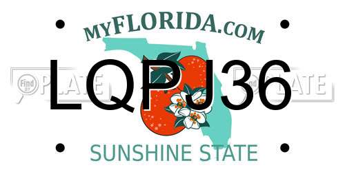 LQPJ36 Florida License Plate