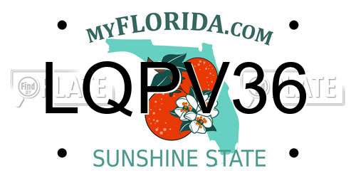 LQPV36 Florida License Plate