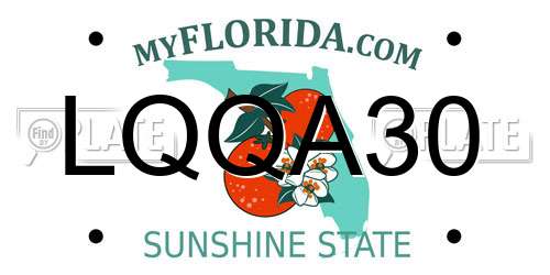 LQQA30 Florida License Plate