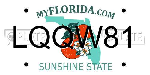 LQQW81 Florida License Plate