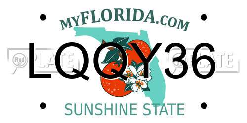 LQQY36 Florida License Plate