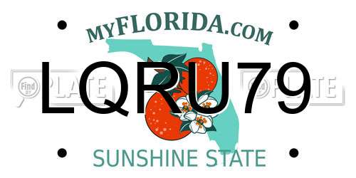 LQRU79 Florida License Plate