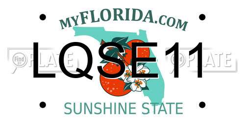 LQSE11 Florida License Plate