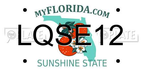 LQSE12 Florida License Plate