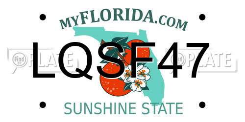 LQSF47 Florida License Plate