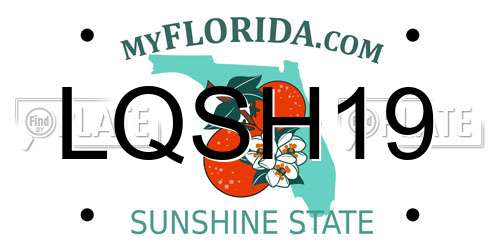 LQSH19 Florida License Plate