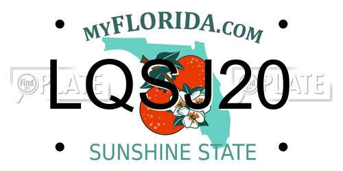 LQSJ20 Florida License Plate