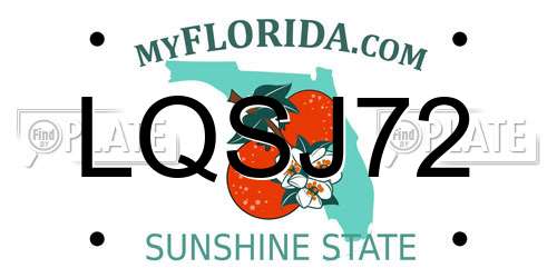 LQSJ72 Florida License Plate