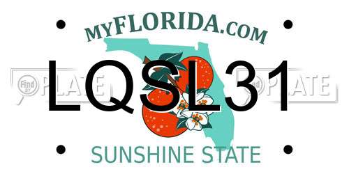 LQSL31 Florida License Plate