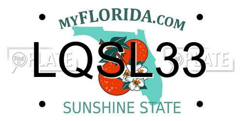 LQSL33 Florida License Plate