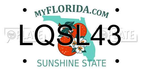 LQSL43 Florida License Plate
